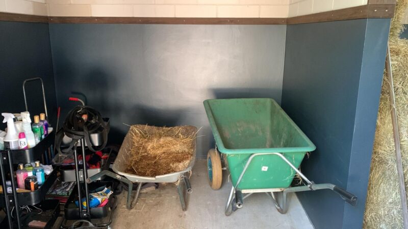 Agrarische Epoxy Wandcoating – Bild 4